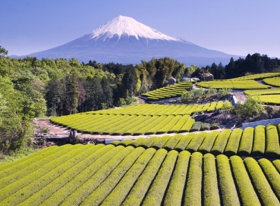 Japonska gora Fudži. (Foto - splet)